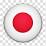 Japanese Flag